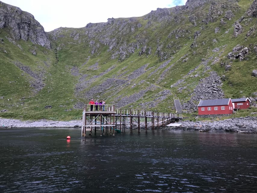 Honningsvåg: North Cape King Crab & Arctic Wildlife Safari - Who will enjoy this trip most