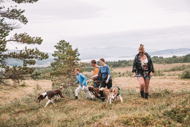 Husky Hike and Puppy Visit with Lunch - Handling strong huskies on Arctic ground