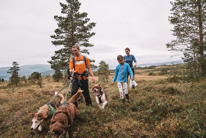 Husky Hike and Puppy Visit with Lunch - Meeting the dogs before the hike