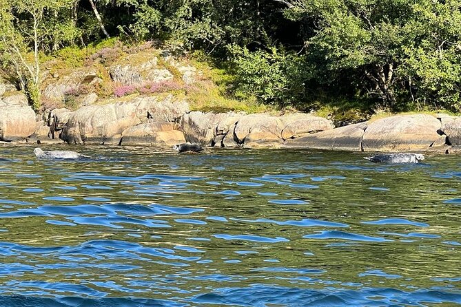 Inshore fishing in the Drangefjord - Who will enjoy this trip most