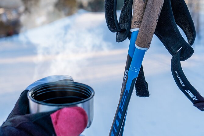 Learn Nordic Skiing - Private Class with Professional Instructor - A real introduction to Norwegian ski culture
