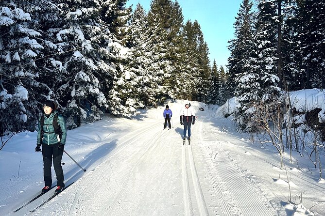 Learn Nordic Skiing - Private Class with Professional Instructor - Private instruction changes the pace