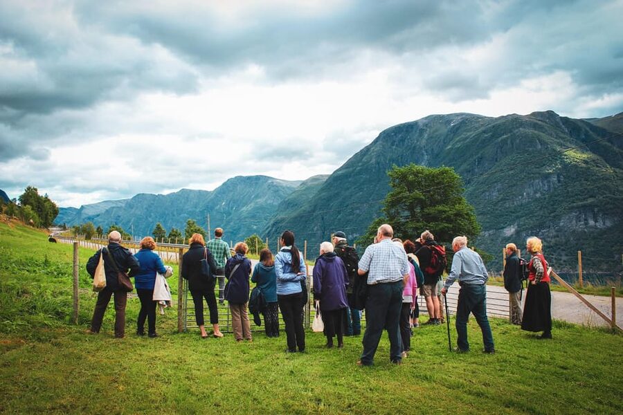 Ljøen, Hellesylt: Ljøen Farm Tour - Coffee, tea, and Norwegian waffles