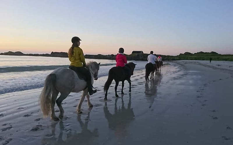 Lofoten: Guided Horse Riding Tour Over Hov and Hovsund - Passing ancient Viking settlements