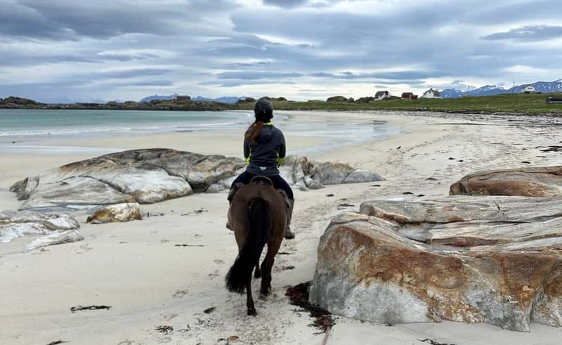 Lofoten: Guided Horse Riding Tour Over Hov and Hovsund - Is $126 a fair price?