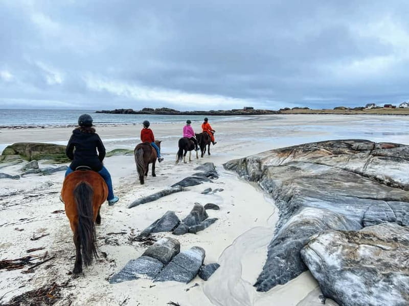 Lofoten: Guided Horse Riding Tour Over Hov and Hovsund - Riding across Hov beach at a gentle pace