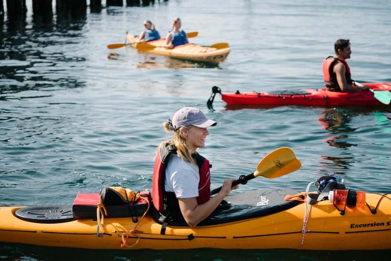 Lofoten: Guided Kayak Experience - Key points to know before paddling