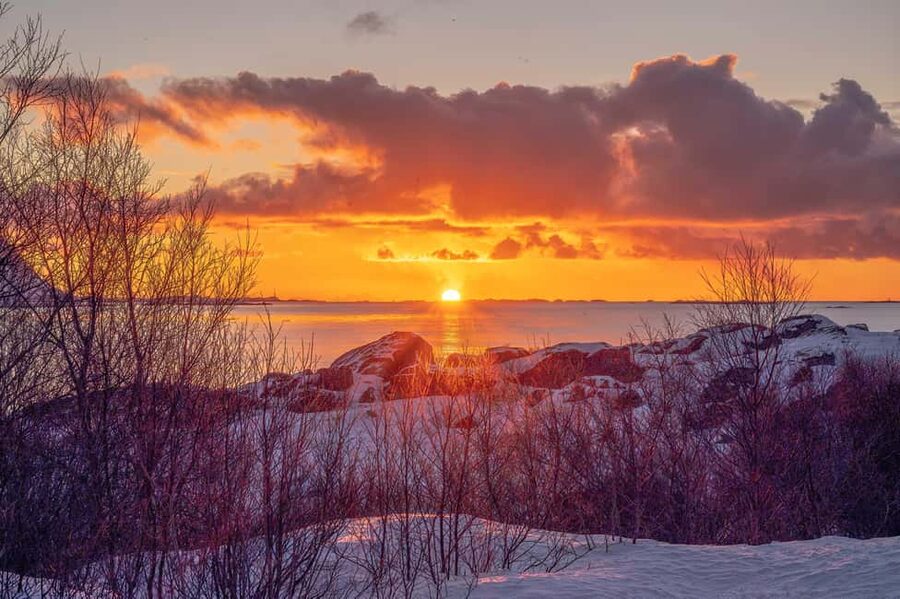 Lofoten: Half-Day Guided Tour with Photo Stops - Food, timing, and what to pack