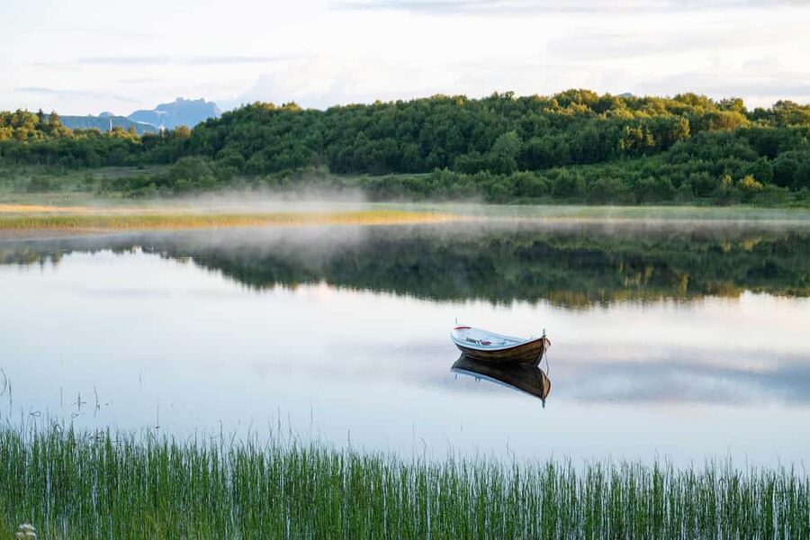 Lofoten: Half-Day Guided Tour with Photo Stops - From Kabelvåg Church to older Lofoten