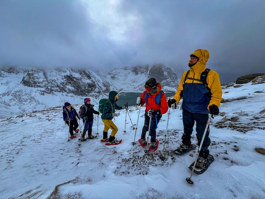 Lofoten: Half Day Snowshoe Tour - Looking for Animal Prints in the Snow