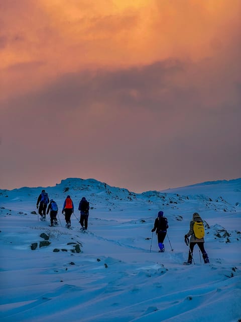 Lofoten: Half Day Snowshoe Tour - Four Hours Across Snowy Peaks and Valleys