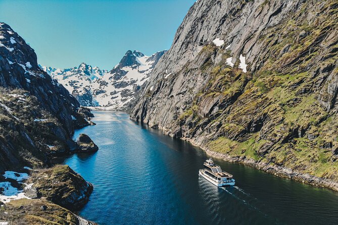 Lofoten Island: Silent Trollfjord Cruise from Svolvær - Key points to know before you book