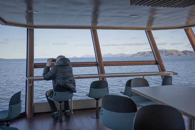 Lofoten Island: Silent Trollfjord Cruise from Svolvær - Comfort, seating, food, and the best viewing strategy