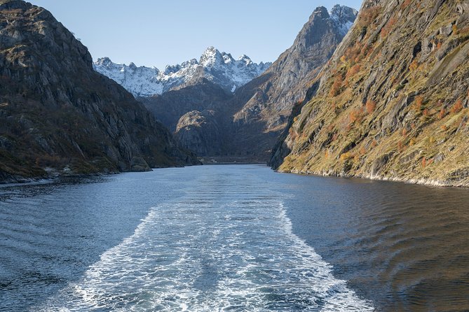 Lofoten Island: Silent Trollfjord Cruise from Svolvær - How much value do you get for $144.34?
