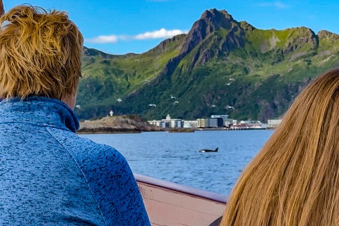 Lofoten Islands Private Midnight Sun Yacht Cruise from Svolvær - Key points to know before sailing
