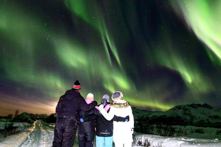 Lofoten: Northern Lights Tour with Photographer - Warm drinks, cold weather, and the right clothing