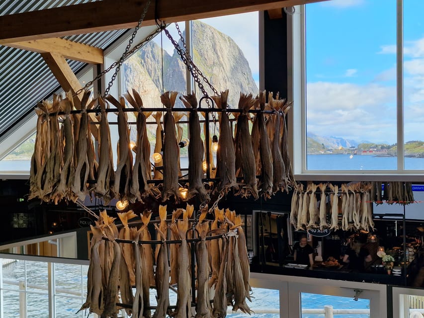 Lofoten: Reine, Hamnøy, and Skariskøya Photo Tour - White beaches, bridges, and roadside photo stops