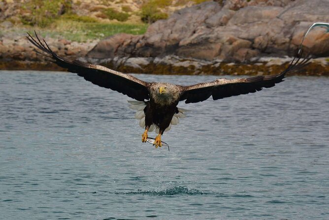 Lofoten RIB Sea Eagle Safari and Trollfjord Cruise - What the safety gear is like