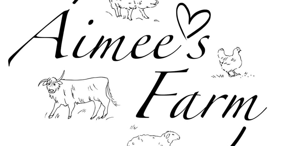 Lofoten (Stamsund and Leknes): Aimees Farm Experience - Why This Farm Visit Feels Different From Dinner Out