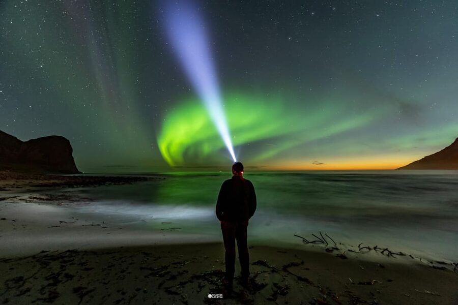 Lofoten: The Aurora Jæger – Northern Lights Hunt with Local - One hour for photos at Moskenesøya