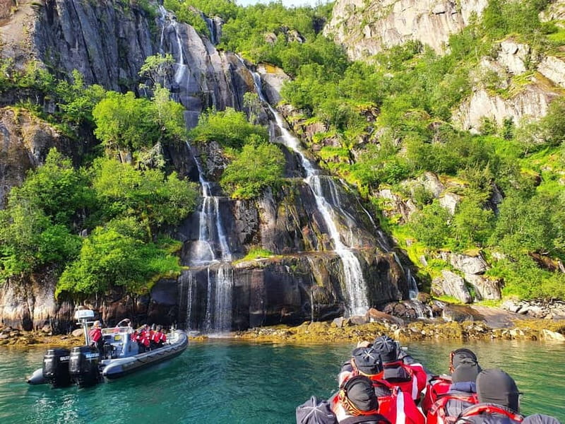 Lofoten: Trollfjord Sea Eagle Safari by RIB Boat - Five things to know before you go