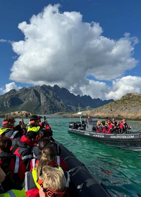 Lofoten: Trollfjord Sea Eagle Safari by RIB Boat - Who should book this Trollfjord safari?