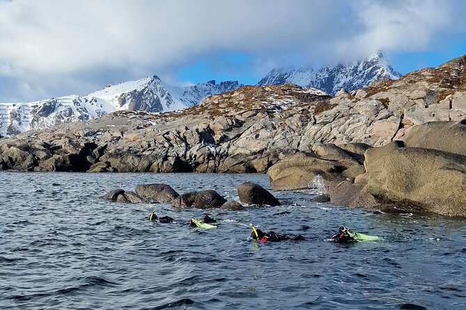 Lofoten Unique Snorkeling Experience in Dry Suit - Starting at Lofoten Diving in Ballstad