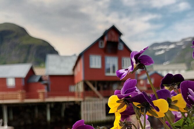 Lofoten VIP PRIVATE Tour from Leknes city / port - From Leknes to Haukland Beach
