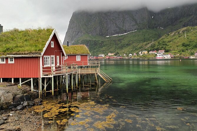Lofoten VIP PRIVATE Tour from Leknes city / port - A useful hour at Sakrisoya