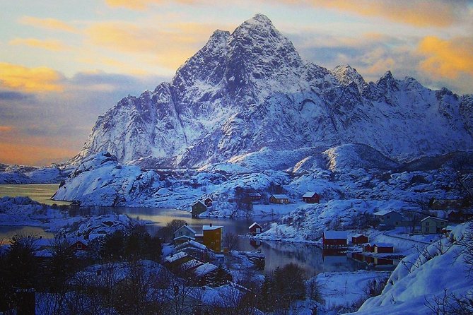 Lofoten Winter Panoramic Tour - Key points to know before booking