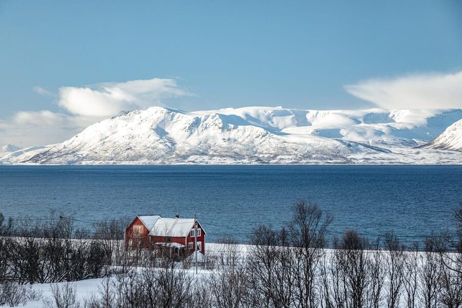 Lyngen: Snowmobile Safari with Lunch in seaside Restaurant - Bøteriet lunch sets the tone