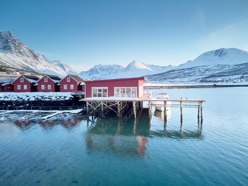 Lyngen: Snowmobile Safari with Lunch in seaside Restaurant - Is $293 per person fair value?