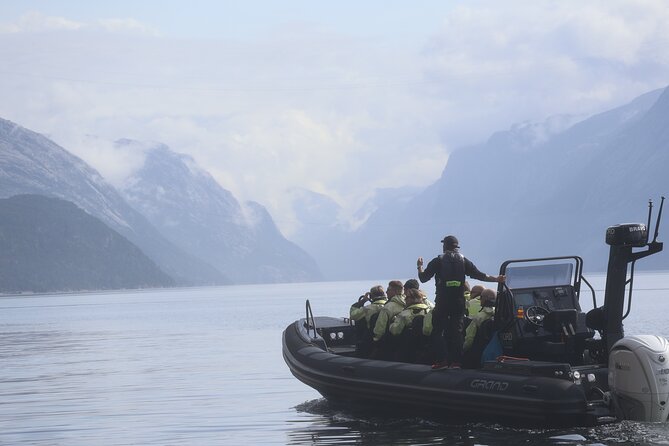Lysefjord RIB Safari from Stavanger - Key points at a glance
