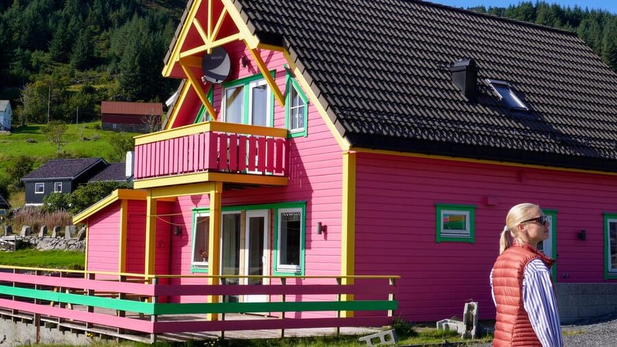 Måløy: Electric Minibus Tour to Kannesteinen - The first 20 minutes, coast, villages, and birdlife