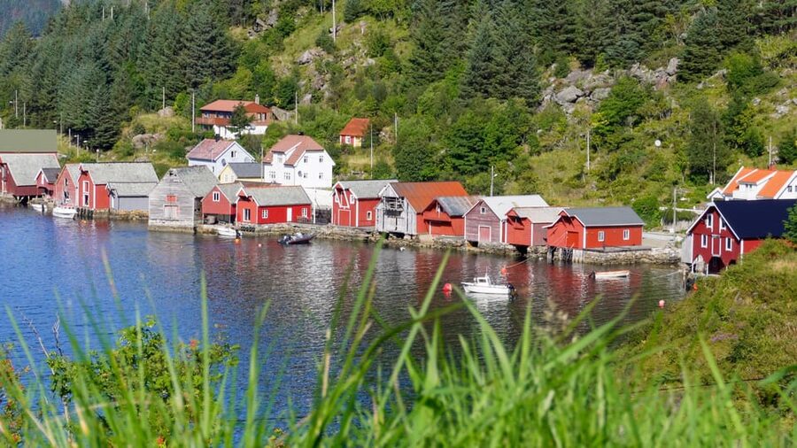 Måløy: Electric Minibus Tour to Kannesteinen - Meeting at the cruise pier in Måløy