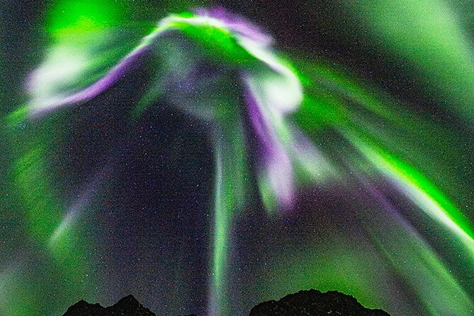 Marianne’s Heaven On Earth Aurora Chaser Tours - Why this Tromso aurora tour feels different