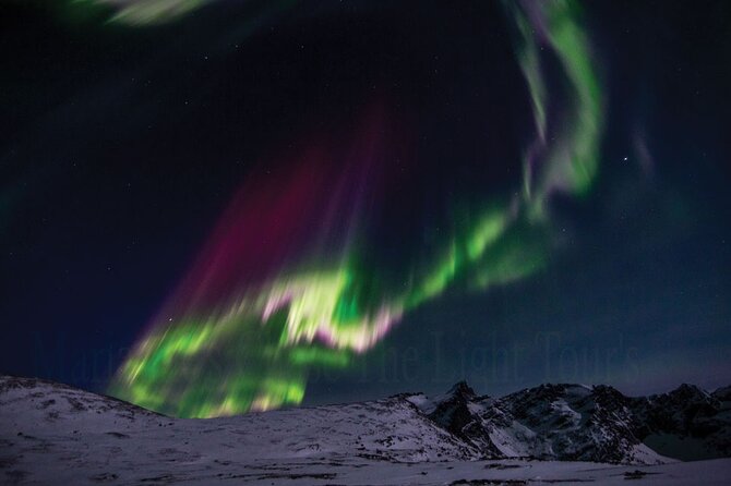 Marianne’s Heaven On Earth Aurora Chaser Tours - Finding the best viewing spot
