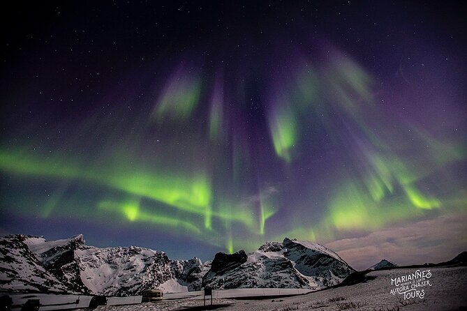 Marianne’s Heaven On Earth Aurora Chaser Tours - Group size and guide attention