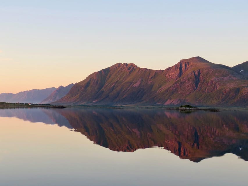 Midnight sun safari - Looking for sea eagles, seals, puffins, and whales