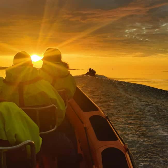 Midnight sun safari - Who will enjoy this evening most?