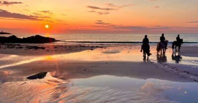 Midnight sun tour