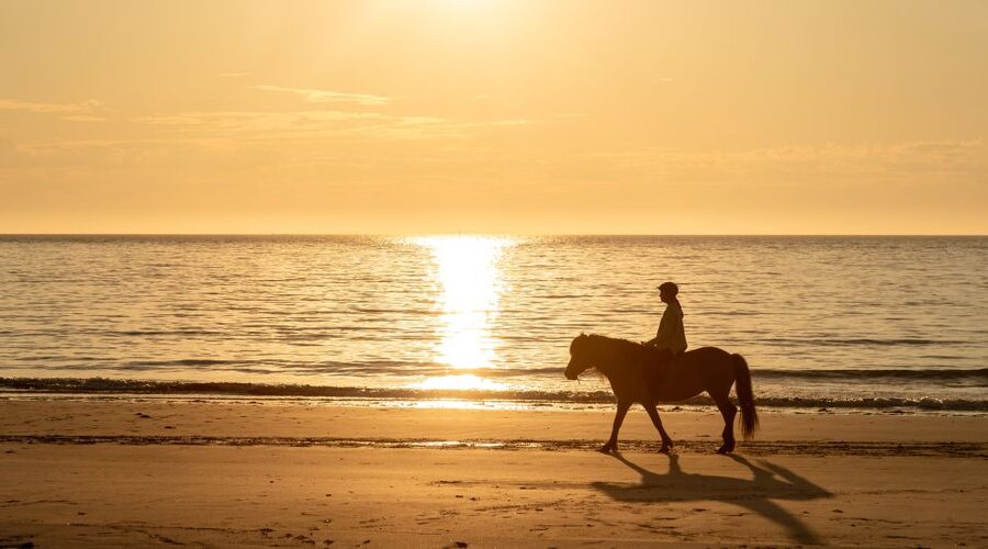 Midnight sun tour - The Arctic Beach and the Ride Home