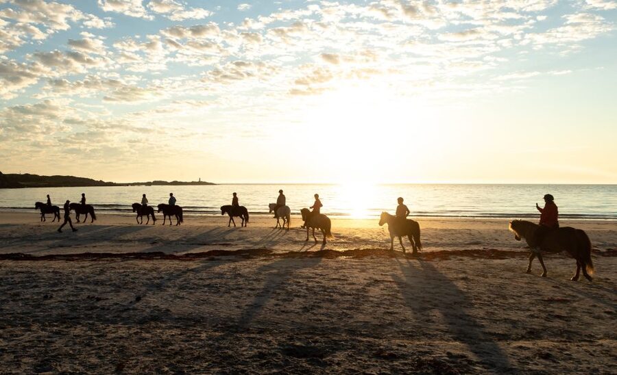 Midnight sun tour - What $156 Buys You