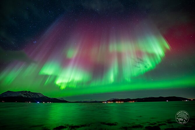 Minibus Northern Lights Chase with Photography from Tromsø - Key points at a glance