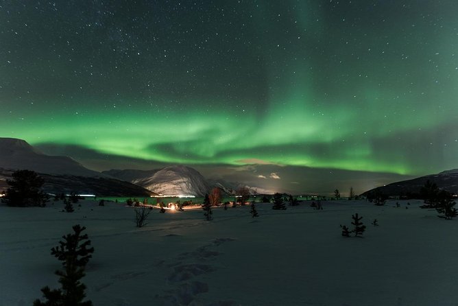 Minibus Northern Lights Chase with Photography from Tromsø - Price and what you receive for $242.92