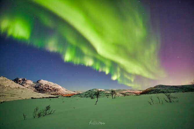 Minivan Northern Lights excursion (8 guests per minivan) - Skibotn and the long drive toward Finland