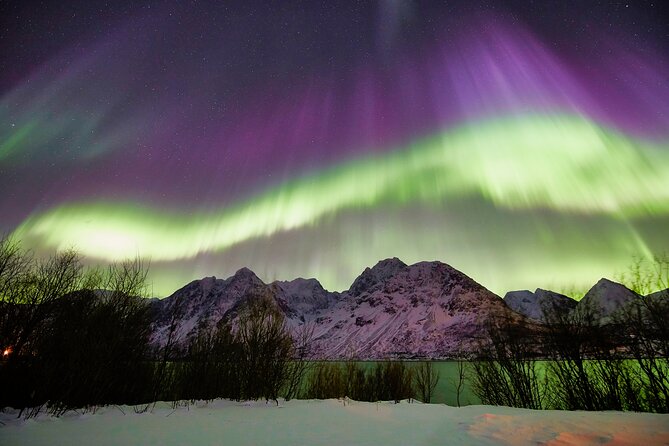 Minivan Northern Lights excursion (8 guests per minivan) - Pyhäouta and Keinovuopio: when the chase goes far