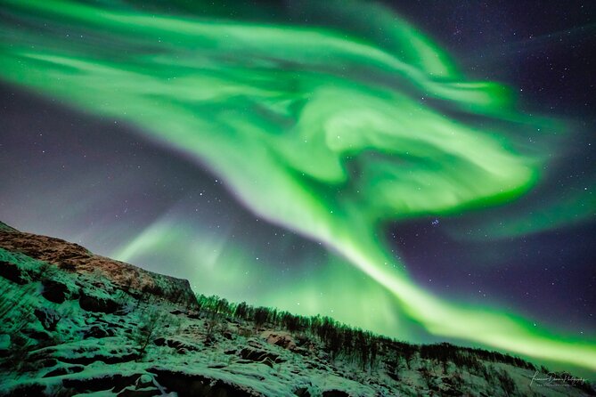 Minivan Northern Lights excursion (8 guests per minivan) - Warm suits, boots, coffee, and the outdoor wait