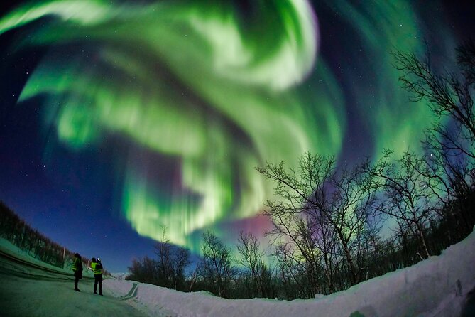Minivan Northern Lights excursion (8 guests per minivan) - Photography help, even without your own camera