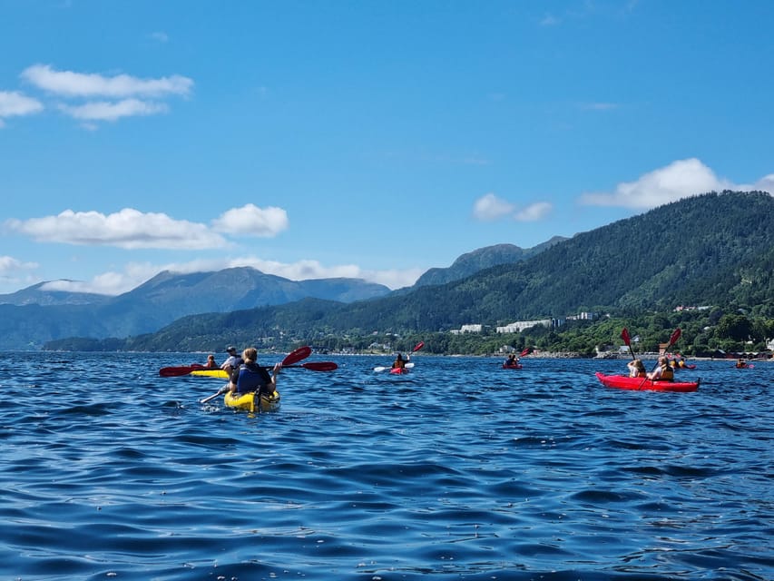 Molde - Guided kayak tour - Final verdict: book for the fjord, not a weather guarantee